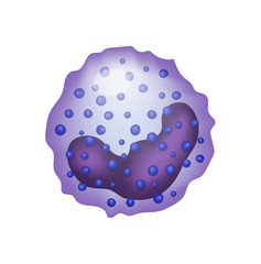 Blood cell. Basophil. Vector icon isolated on white background