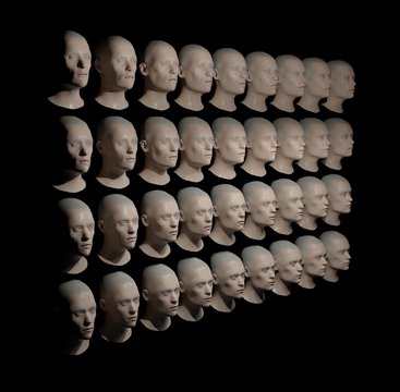 Identical heads, illustration