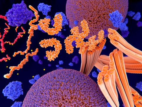 Tau Protein In Alzheimer's Disease, Illustration