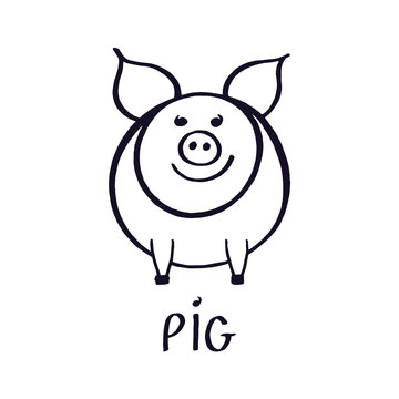 Cute little pink pig vector illustration. Hand drawn doodle line art. Black sketch isolated on white