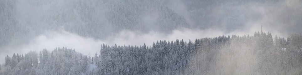 Forest Hill In Winter