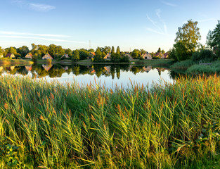 Quite summer evening view over the reed of the pond in Zuidlaren NL