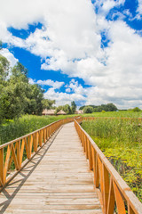 Fototapeta na wymiar Croatia, Baranja, Kopacki Rit nature park wooden boardwalk view, beautiful countryside landscape, cloudy day