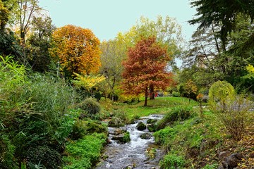 Obraz premium Rivière dans le parc en Automne 