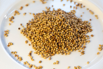 Pile of coriander seeds