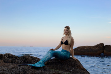 the mermaid is basking on the seashore