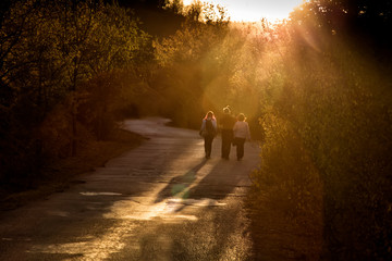 Three people  walking in green nature  at sunset. Family weekend outdoor activity