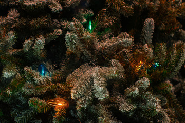 Christmas tree & lights