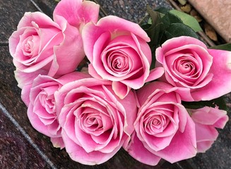 Bouquet of pink rose buds