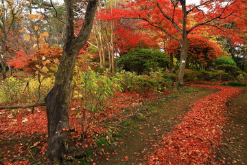 紅葉の一ノ倉邸