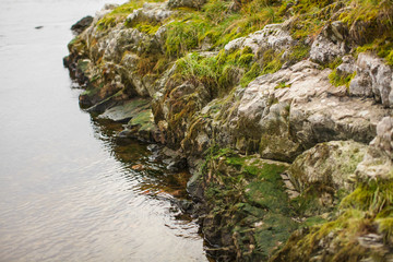 Close up beautyful moss on rocks by the river. Old gray stones with green moss texture background.