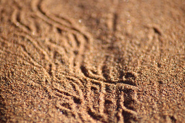 Fototapeta na wymiar Spuren im Wüstensand