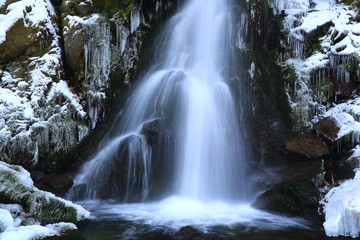 Fototapeta premium 冬の薄衣の滝