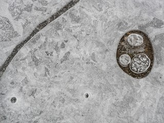 Polonne / Ukraine - 7 December 2018: Winter background, frozen glass from strong frost, ice texture