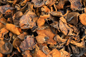 Dried mushrooms