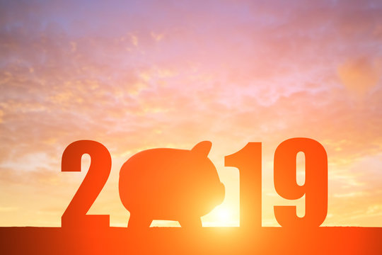 silhouette of 2019 with pig