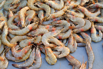 fresh prawns