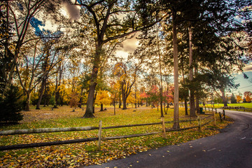 Autumn