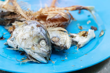 Mackerel on the plate