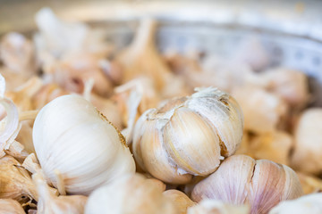 Garlic on the container