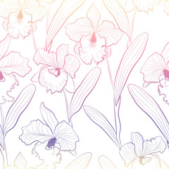 Seamless orchid flowers cattleya sketched pattern white