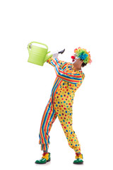 Funny clown isolated on white background