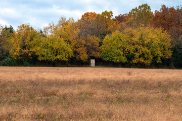 A little redneck hunting shack nestled amongst the fall trees.