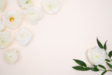White Ranunculus flowers on Blush background Floral Flat Lay
