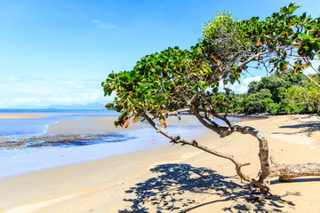 Beautiful day on the beach