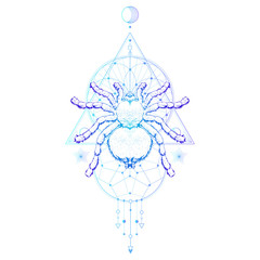Vector illustration with hand drawn spider and Sacred geometric symbol on white background. Abstract mystic sign.