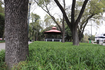 kiosko en bosque