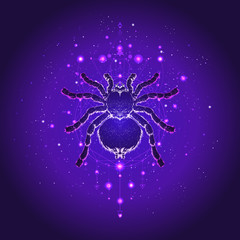 Vector illustration with hand drawn spider tarantula and Sacred geometric symbol against the starry sky. Abstract mystic sign.