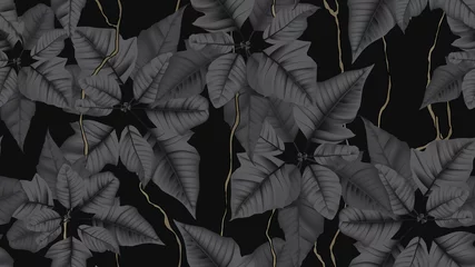 Foto op Canvas Botanical seamless pattern, black Poinsettia plant with vines on black background © momosama