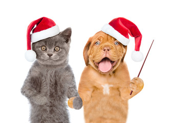 Funny kitten and puppy in red christmas hats with pointing stick. isolated on white background