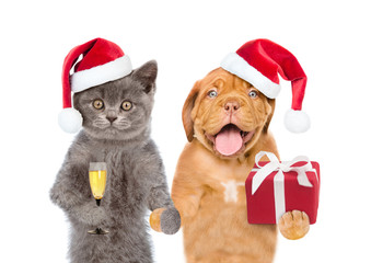 Funny puppy and kitten in red christmas hats with gift box and glass of champagne. isolated on white background