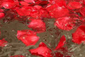 Rose bath