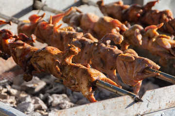 grilling quails over charcoal stove