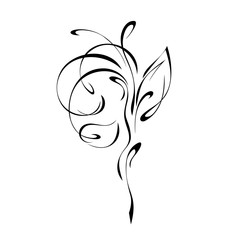 abstract twig with leaves in black lines on white background