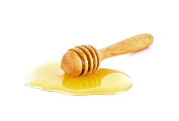 Honey bee on white background