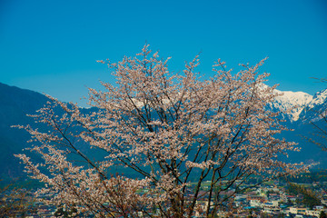 Japan Alps from Nagano side in Japan. Japan Alps is located between Nagano and Toyama prefectures.