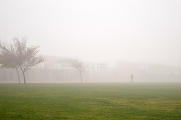 Foggy Park