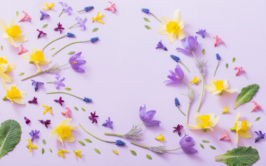 Fototapeta na wymiar spring flowers on paper background