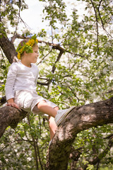 Naklejka na ściany i meble A little boy sits on a blooming apple tree in the park. Blooming apple trees in the garden. Spring in the park. Baby climbs trees.
