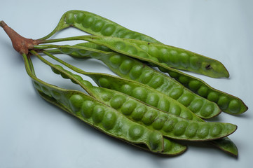 Seed pods of Petai or Parkia Speciosa from Indonesia isolated on white background