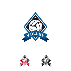 Volleyball Sport logo designs badge vector template, Professional Isolated Sports Badge Logo