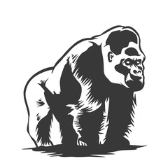 Black and white gorilla illustration