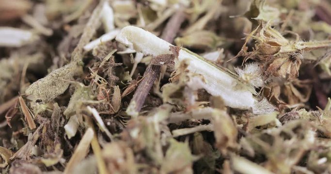 Motherwort grass in bulk