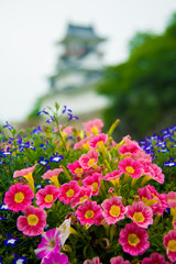 Toyama castle in Toyama, Japan. Japan is a country located in the East Asia.
