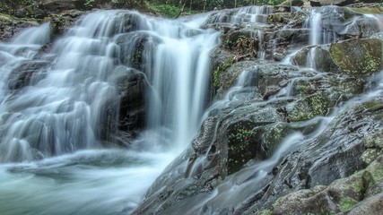 waterfall in forest