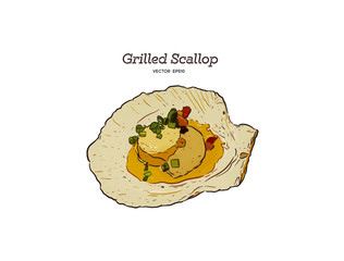 Grilled Scallop shell hand drawn vector